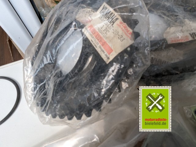 PXL_20240523_133536745